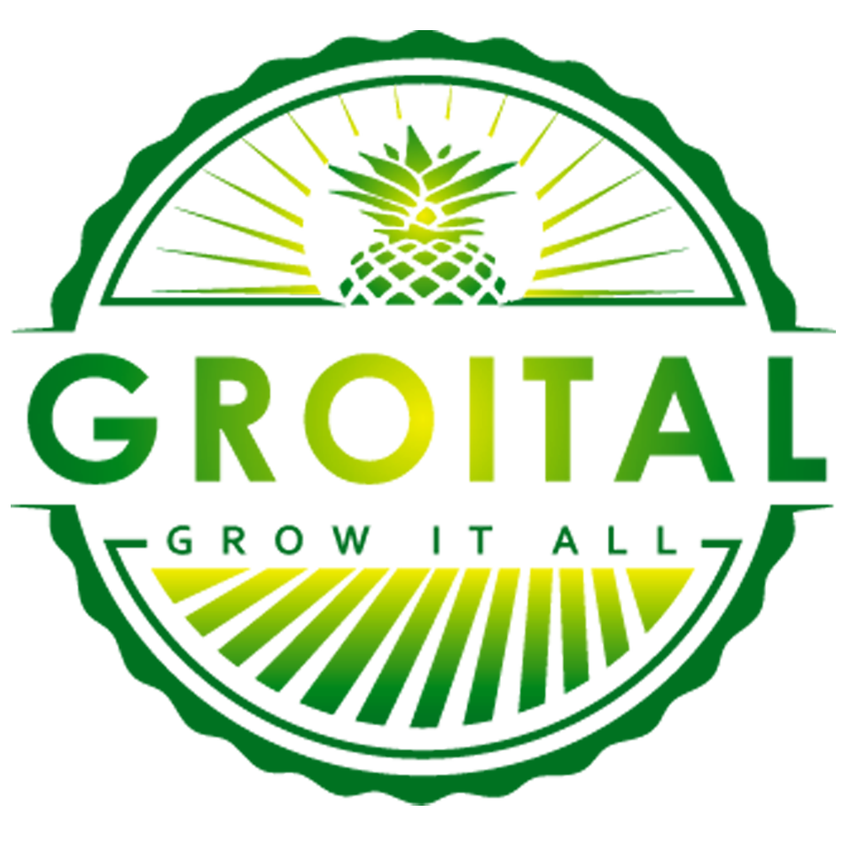 Groital Dried Fruits Store